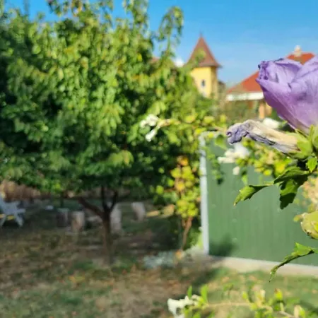 In 51893 Διαμέρισμα